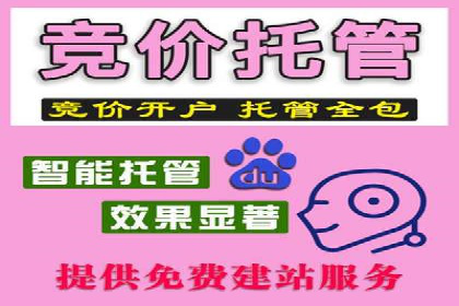 SEM代运营案例：助力企业实现线上转型